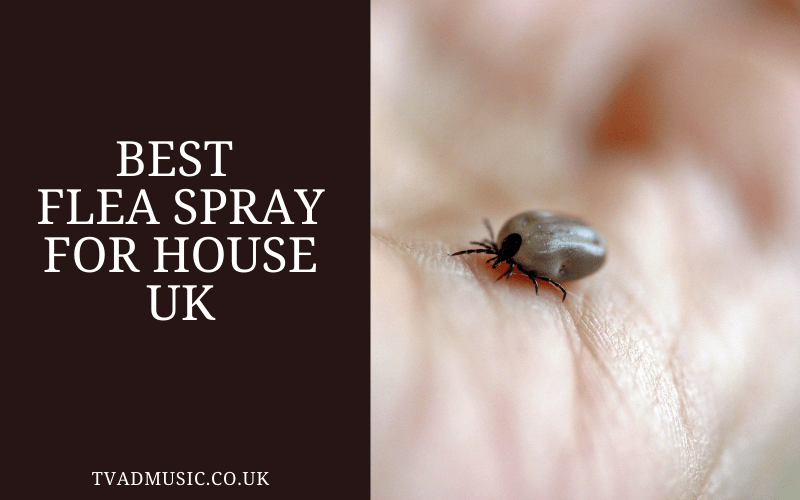 Best Flea Spray for House UK Top 6 Options TV Ad Music